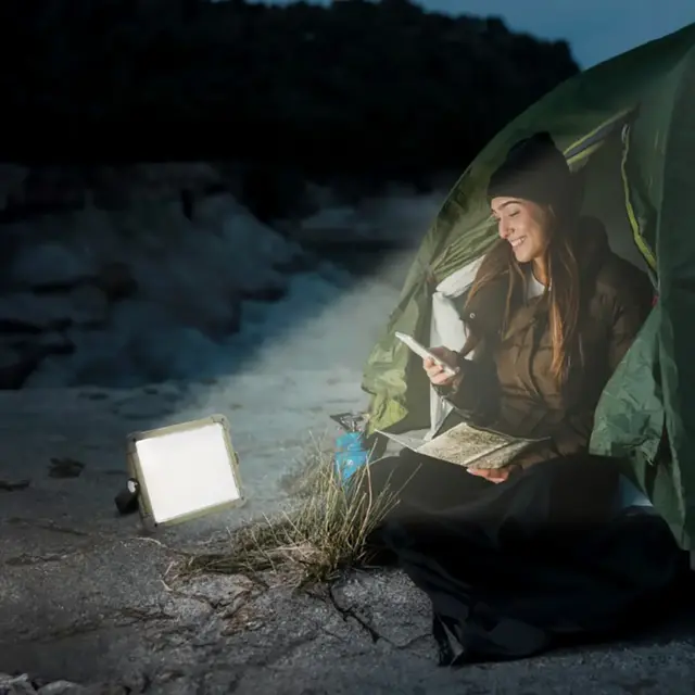 camping_light_cheap_rate green lion