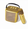 Wireless Karaoke Speaker With Wireless Microphone-Smartberry M102-Gold